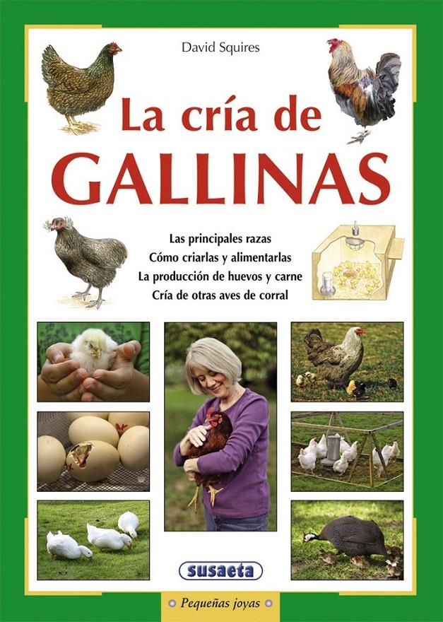 LA CRÍA DE GALLINAS | 9788467725834 | SQUIRES, DAVID | Galatea Llibres | Llibreria online de Reus, Tarragona | Comprar llibres en català i castellà online