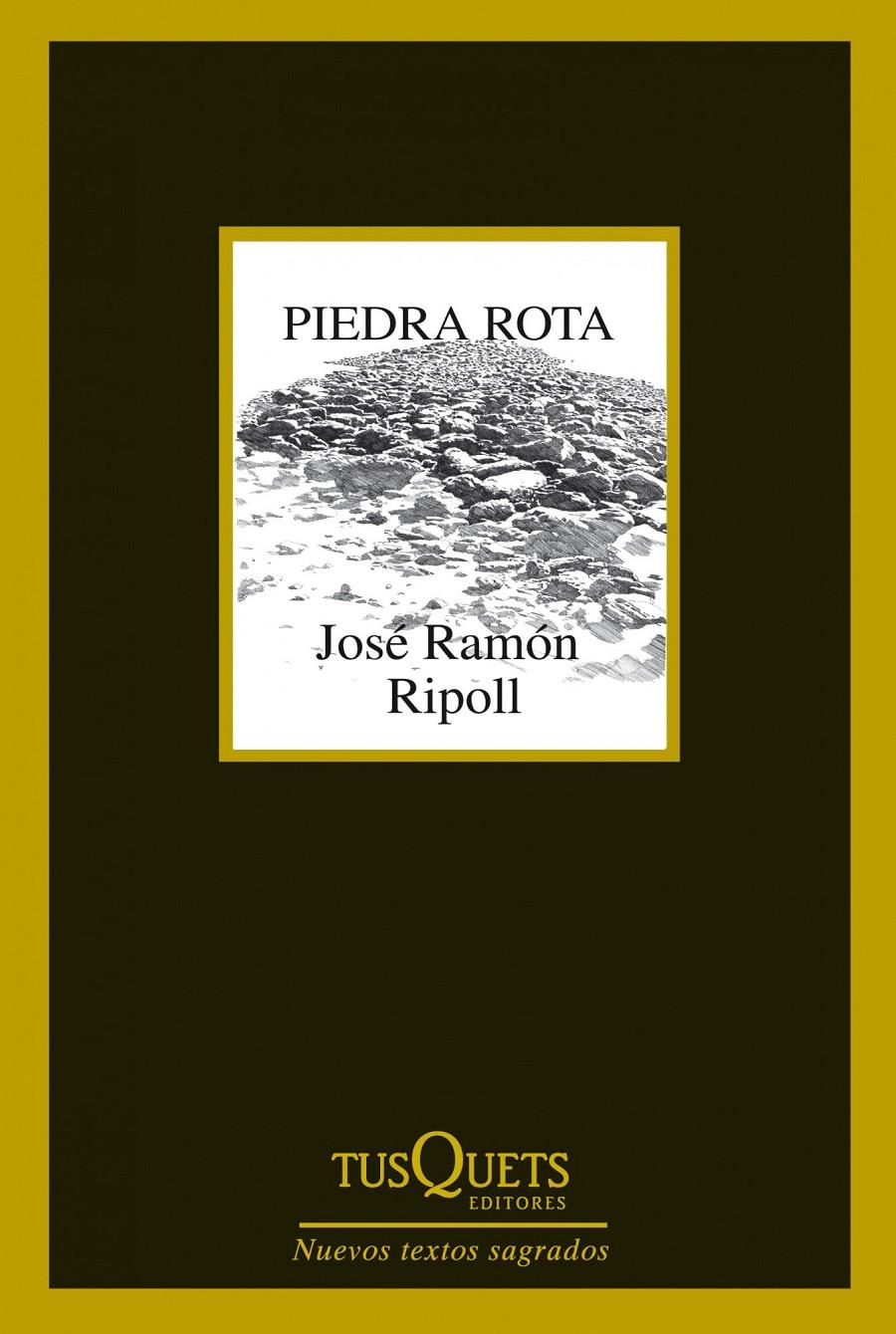 PIEDRA ROTA | 9788483834787 | RIPOLL, JOSE RAMON | Galatea Llibres | Llibreria online de Reus, Tarragona | Comprar llibres en català i castellà online