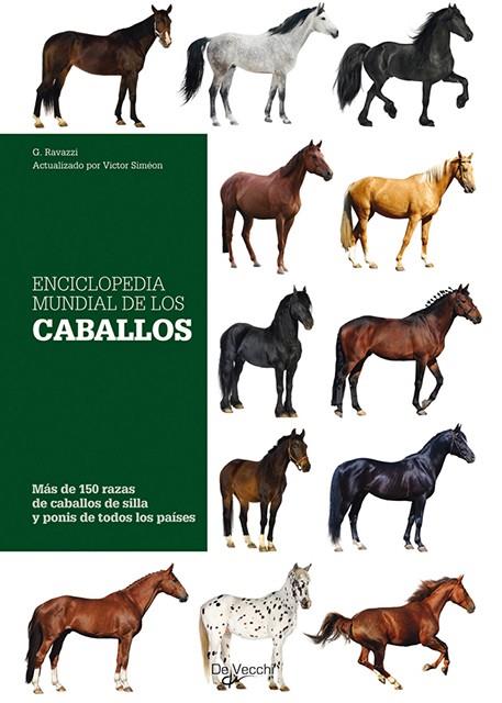 ENCICLOPEDIA MUNDIAL DE LOS CABALLOS | 9788431550295 | RAVAZZI, G. | Galatea Llibres | Llibreria online de Reus, Tarragona | Comprar llibres en català i castellà online