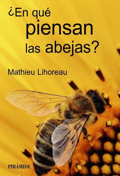 ¿EN QUÉ PIENSAN LAS ABEJAS? | 9788436849325 | LIHOREAU, MATHIEU | Galatea Llibres | Librería online de Reus, Tarragona | Comprar libros en catalán y castellano online