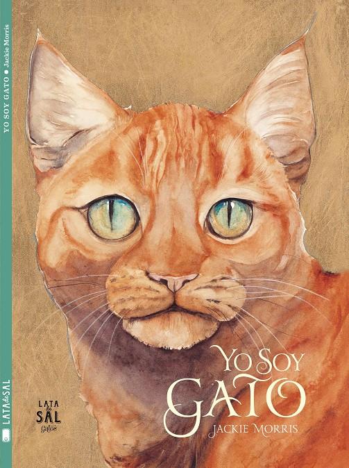 YO SOY GATO | 9788494245145 | MORRIS, JACKIE | Galatea Llibres | Llibreria online de Reus, Tarragona | Comprar llibres en català i castellà online