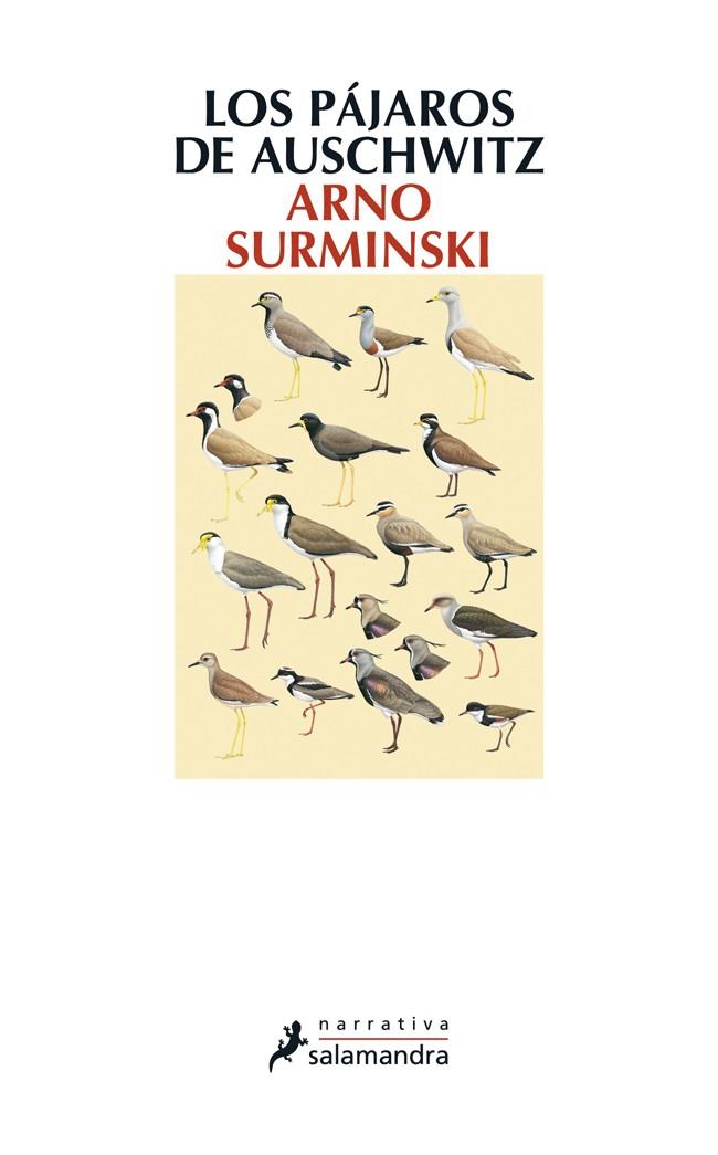 LOS PÁJAROS DE AUSCHWITZ | 9788498384987 | SURMINSKI, ARNO | Galatea Llibres | Llibreria online de Reus, Tarragona | Comprar llibres en català i castellà online