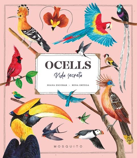 OCELLS. VIDA SECRETA | 9788419095534 | ESTEBAN, DIANA | Galatea Llibres | Llibreria online de Reus, Tarragona | Comprar llibres en català i castellà online