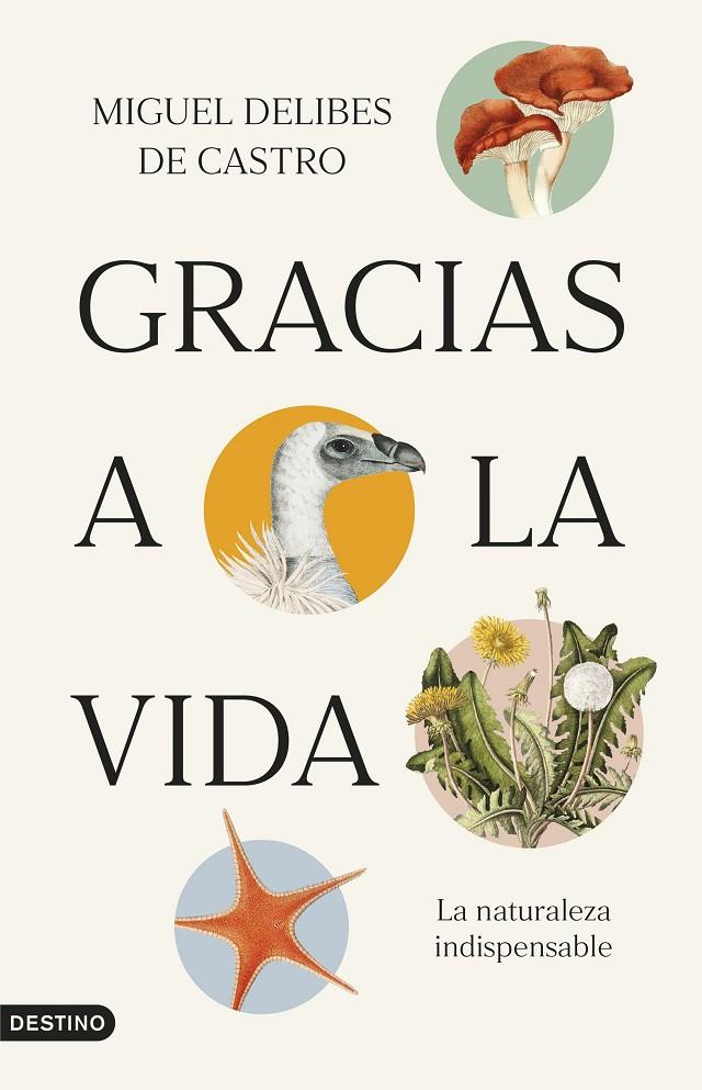 GRACIAS A LA VIDA | 9788423365821 | DELIBES DE CASTRO, MIGUEL | Galatea Llibres | Llibreria online de Reus, Tarragona | Comprar llibres en català i castellà online