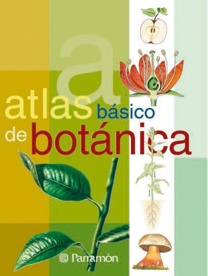 ATLAS BASICO DE BOTANICA | 9788434224643 | AAVV | Galatea Llibres | Llibreria online de Reus, Tarragona | Comprar llibres en català i castellà online