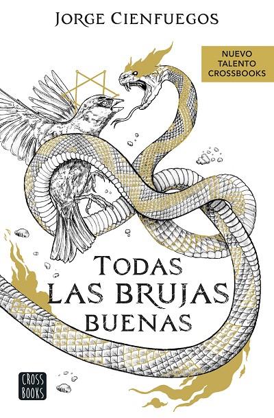 TODAS LAS BRUJAS BUENAS | 9788408260066 | CIENFUEGOS, JORGE | Galatea Llibres | Llibreria online de Reus, Tarragona | Comprar llibres en català i castellà online