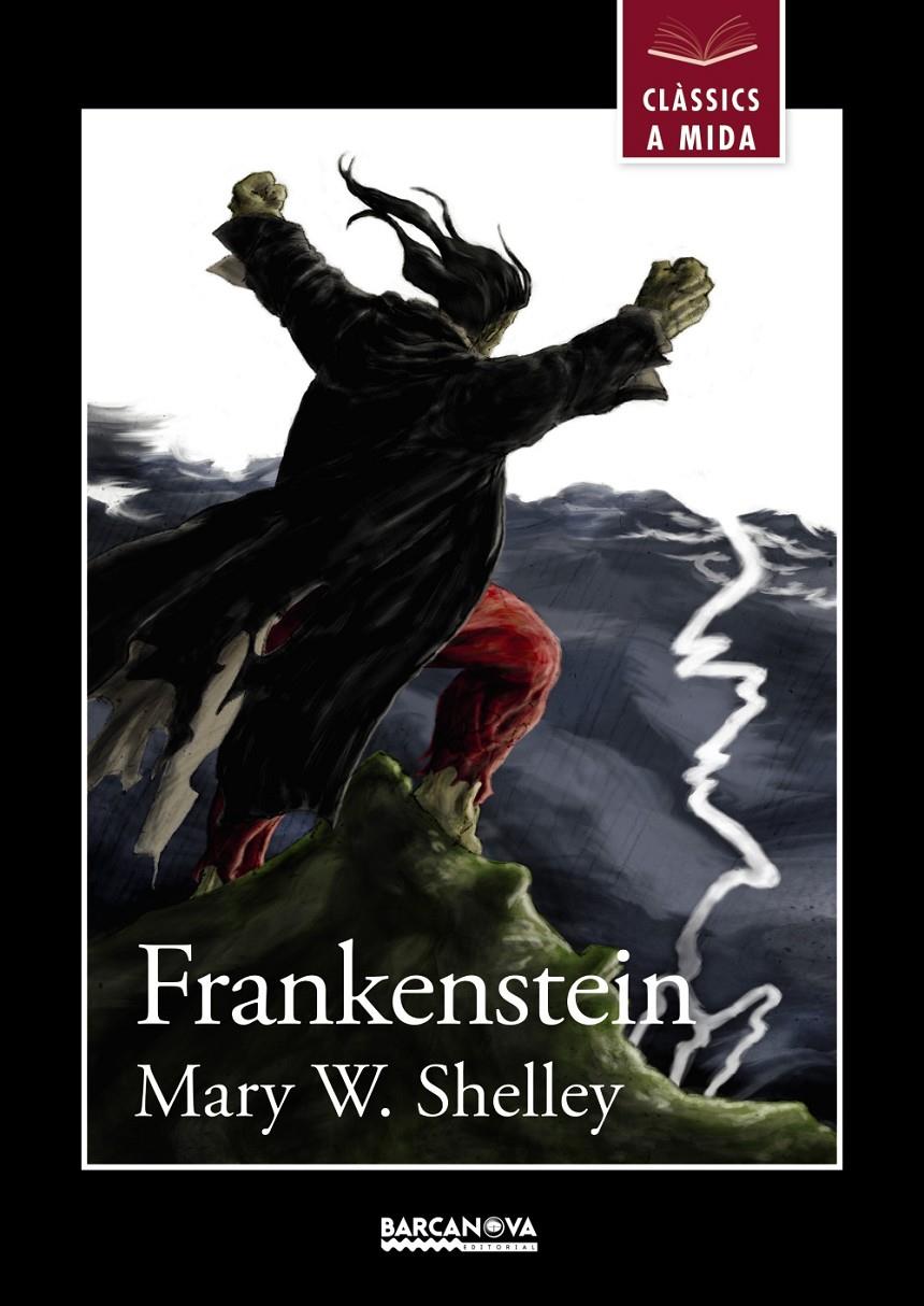 FRANKENSTEIN (CLÀSSICS A MIDA) | 9788448934927 | SHELLEY, MARY W. | Galatea Llibres | Librería online de Reus, Tarragona | Comprar libros en catalán y castellano online