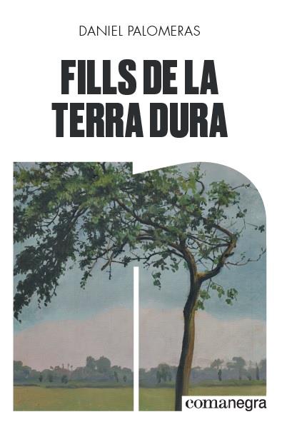 FILLS DE LA TERRA DURA | 9788418022296 | PALOMERAS, DANIEL | Galatea Llibres | Librería online de Reus, Tarragona | Comprar libros en catalán y castellano online