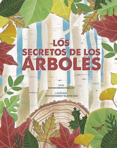 LOS SECRETOS DE LOS ÁRBOLES | 9788491457503 | DOMENICO NOVELLINO, MASSIMO | Galatea Llibres | Librería online de Reus, Tarragona | Comprar libros en catalán y castellano online