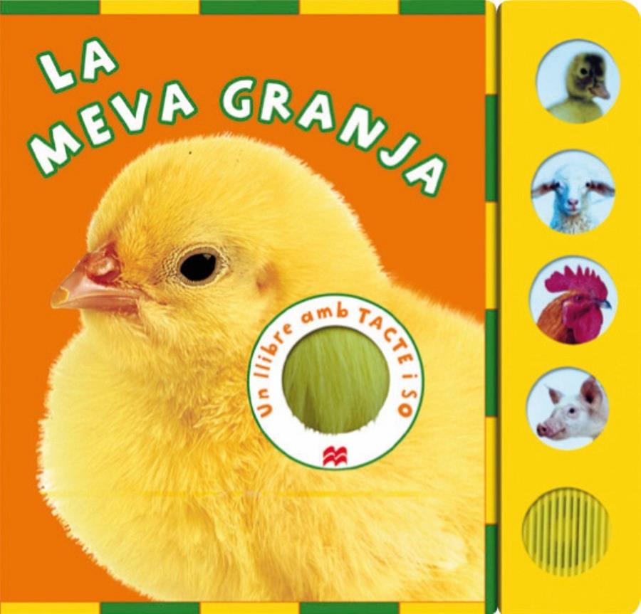 MEVA GRANJA, LA | 9788479429041 | AUZOU, PHILIPPE | Galatea Llibres | Llibreria online de Reus, Tarragona | Comprar llibres en català i castellà online