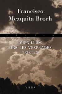 DUEN LLUM FINS LES VESPRADES TRISTES | 9788483303931 | MEZQUITA BROCH, FRANCISCO | Galatea Llibres | Llibreria online de Reus, Tarragona | Comprar llibres en català i castellà online