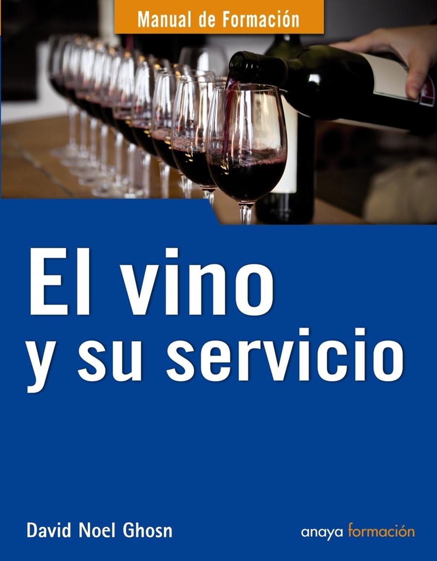 VINO Y SU SERVICIO | 9788441529939 | GHOSN SANTANA, DAVID NOEL | Galatea Llibres | Llibreria online de Reus, Tarragona | Comprar llibres en català i castellà online