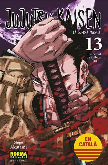 JUJUTSU KAISEN 13 CAT | 9788467957679 | AKUTAMI, GEGE | Galatea Llibres | Llibreria online de Reus, Tarragona | Comprar llibres en català i castellà online