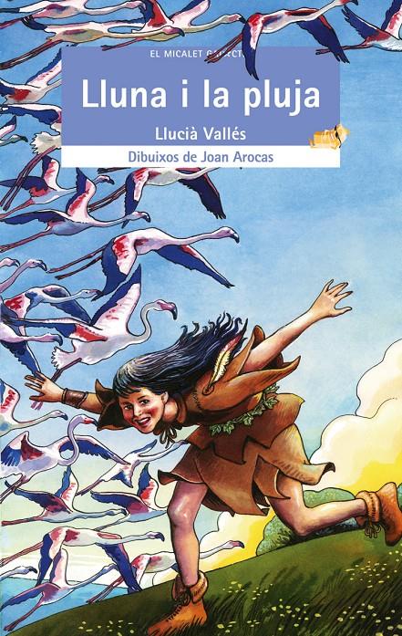 LLUNA I LA PLUJA, LA | 9788476609644 | VALLÉS, LLUCIÀ | Galatea Llibres | Librería online de Reus, Tarragona | Comprar libros en catalán y castellano online