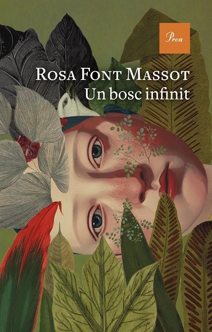 UN BOSC INFINIT | 9788419657732 | FONT MASSOT, ROSA | Galatea Llibres | Llibreria online de Reus, Tarragona | Comprar llibres en català i castellà online