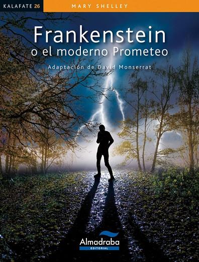 FRANKENSTEIN LECTURA FACIL | 9788483088203 | SHELLEY, MARY | Galatea Llibres | Librería online de Reus, Tarragona | Comprar libros en catalán y castellano online