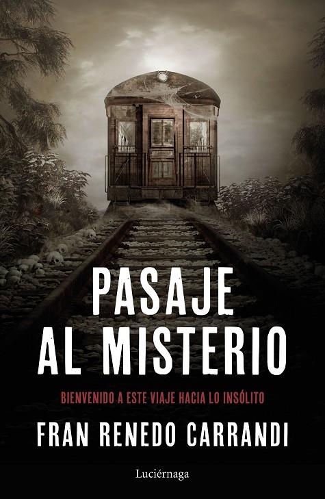 PASAJE AL MISTERIO | 9788417371241 | RENEDO, FRANCISCO | Galatea Llibres | Llibreria online de Reus, Tarragona | Comprar llibres en català i castellà online