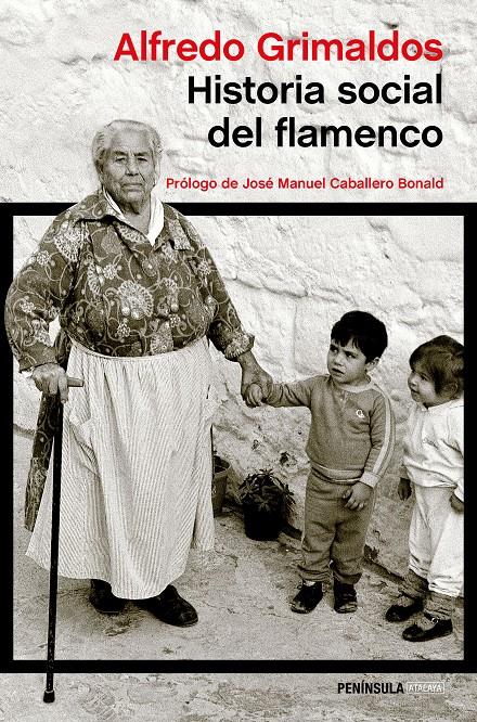 HISTORIA SOCIAL DEL FLAMENCO | 9788499423845 | GRIMALDOS, ALFREDO | Galatea Llibres | Llibreria online de Reus, Tarragona | Comprar llibres en català i castellà online