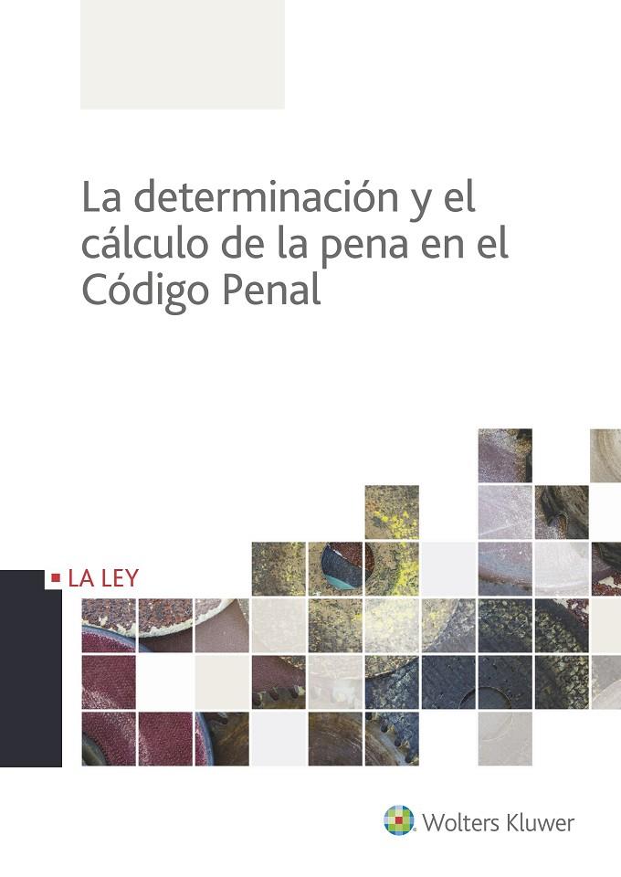 LA PROTECCIONS JURIDICA DE LA INFANCIA Y LA ADOLESCENCIA TRAS LA LEY ORGANICA 8/2015 | 9788490206690 | BERROCAL, ANA ISABEL | Galatea Llibres | Llibreria online de Reus, Tarragona | Comprar llibres en català i castellà online