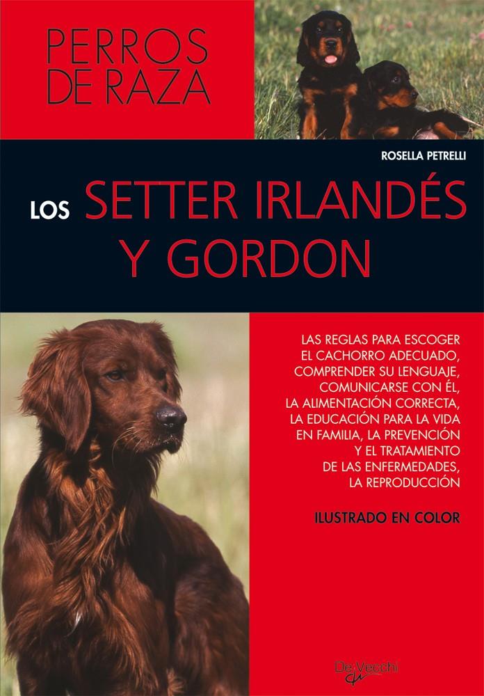 SETTER IRLANDÉS Y GORDON, LOS | 9788431524678 | PETRELLI, ROSSELLA | Galatea Llibres | Librería online de Reus, Tarragona | Comprar libros en catalán y castellano online