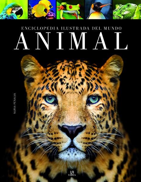 ENCICLOPEDIA ILUSTRADA DEL MUNDO ANIMAL | 9788466238045 | PENALVA COMENDADOR, NURIA | Galatea Llibres | Librería online de Reus, Tarragona | Comprar libros en catalán y castellano online