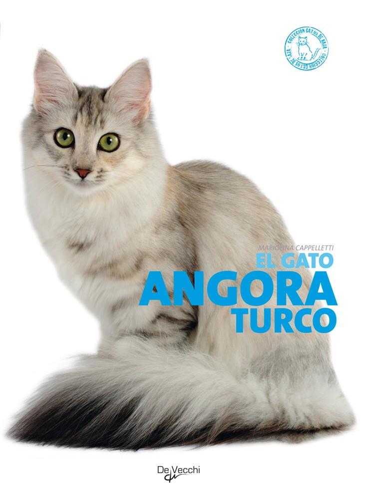 GATO ANGORA TURCO | 9788431541613 | CAPPELLETTI, MARIOLINA | Galatea Llibres | Llibreria online de Reus, Tarragona | Comprar llibres en català i castellà online