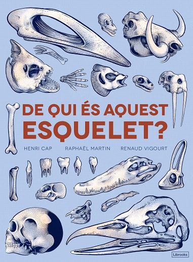 DE QUI ÉS AQUEST ESQUELET? | 9788494731860 | CAP, HENRI / MARTÍN, RAPHAËL | Galatea Llibres | Llibreria online de Reus, Tarragona | Comprar llibres en català i castellà online