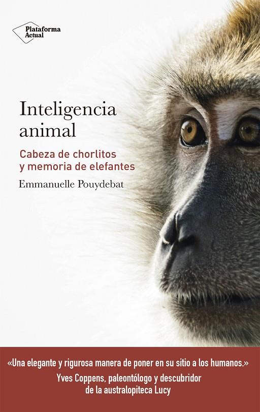 INTELIGENCIA ANIMAL | 9788417114947 | POUYDEBAT, EMMANUELLE | Galatea Llibres | Llibreria online de Reus, Tarragona | Comprar llibres en català i castellà online