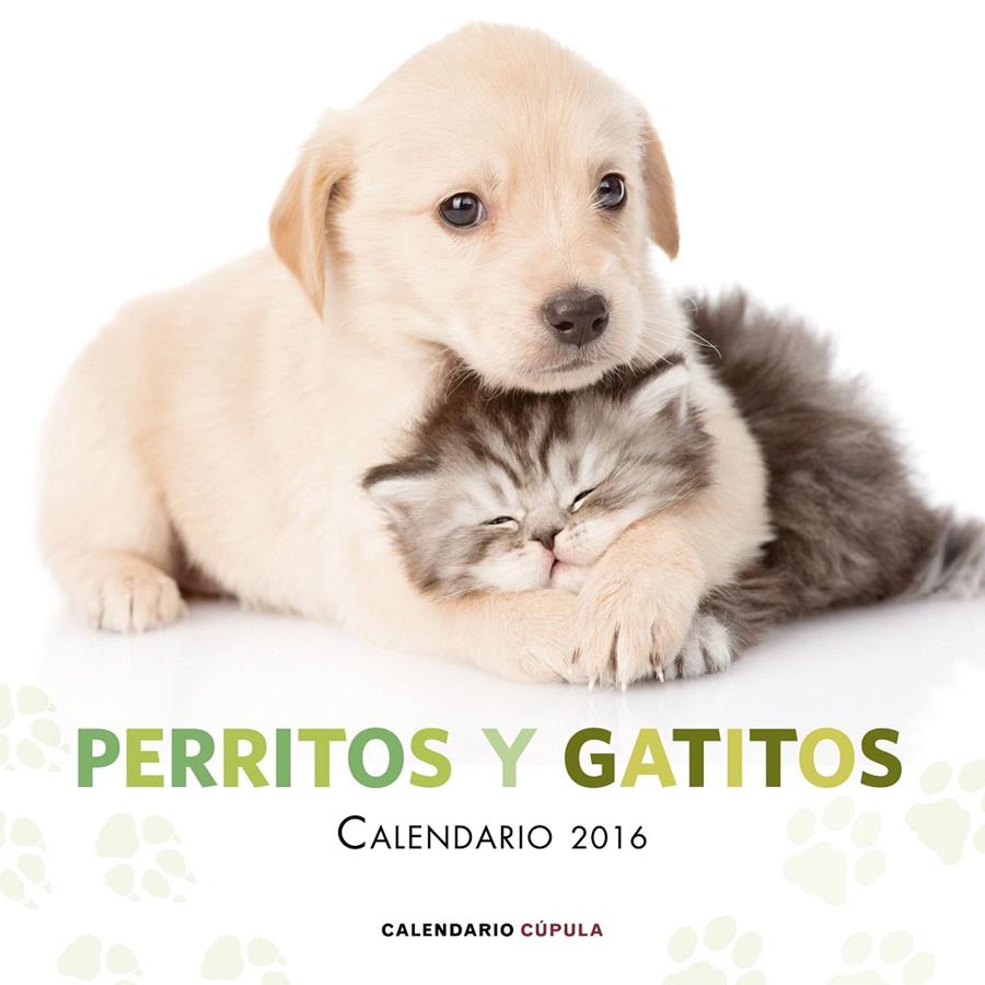 CALENDARIO PERRITOS Y GATITOS 2016 | 9788448021726 | Galatea Llibres | Llibreria online de Reus, Tarragona | Comprar llibres en català i castellà online