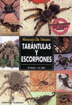 TARANTULAS Y ESCORPIONES                  (DIP) | 9788425510977 | RANKIN, W. | Galatea Llibres | Librería online de Reus, Tarragona | Comprar libros en catalán y castellano online