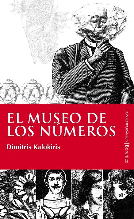 MUSEO DE LOS NUMEROS, EL | 9788496756205 | CALOKIRIS, DIMITRI | Galatea Llibres | Llibreria online de Reus, Tarragona | Comprar llibres en català i castellà online