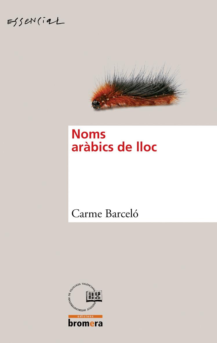 NOMS ARABIC DE LLOC, ELS | 9788498246506 | BARCELÓ, CARME | Galatea Llibres | Llibreria online de Reus, Tarragona | Comprar llibres en català i castellà online