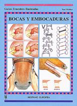 BOCAS Y EMBOCADURAS      (DIP) | 9788425510632 | WEBBER, TONI | Galatea Llibres | Librería online de Reus, Tarragona | Comprar libros en catalán y castellano online