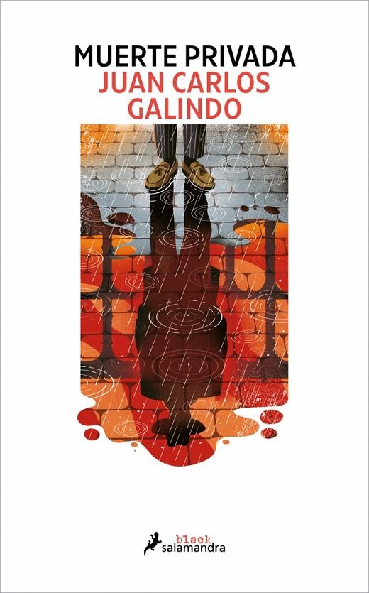 MUERTE PRIVADA (SEGOVIA NOIR 2) | 9788410340503 | GALINDO, JUAN CARLOS | Galatea Llibres | Llibreria online de Reus, Tarragona | Comprar llibres en català i castellà online