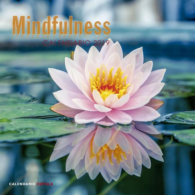 CALENDARIO 2019 MINDFULNESS | 9788448024598 | Galatea Llibres | Llibreria online de Reus, Tarragona | Comprar llibres en català i castellà online