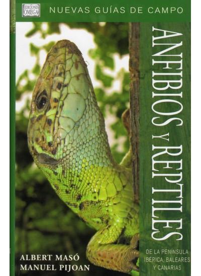 ANFIBIOS Y REPTILES NUEVAS GUIAS DE CAMPO | 9788428213684 | MASO, ALBERT | Galatea Llibres | Llibreria online de Reus, Tarragona | Comprar llibres en català i castellà online