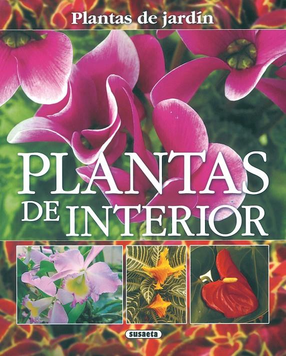 PLANTAS DE INTERIOR | 9788430556892 | ALONSO DE LA PAZ, FRANCISCO JAVIER | Galatea Llibres | Llibreria online de Reus, Tarragona | Comprar llibres en català i castellà online