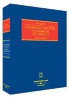 MARCAS COLECTIVAS Y LAS MARCAS DE GARANTIA, LAS | 9788447025077 | LARGO GIL, MARIA RITA | Galatea Llibres | Librería online de Reus, Tarragona | Comprar libros en catalán y castellano online