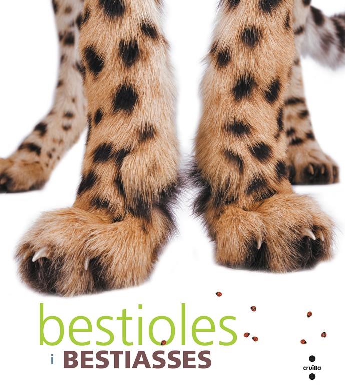 BESTIOLES I BESTIASSES | 9788466127271 | ROMÀ I GARCIA, CORAL | Galatea Llibres | Llibreria online de Reus, Tarragona | Comprar llibres en català i castellà online