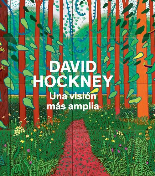 DAVID HOCKNEY.UNA VISION MAS AMPLIA | 9788475069999 | HOCKNEY, DAVID | Galatea Llibres | Librería online de Reus, Tarragona | Comprar libros en catalán y castellano online