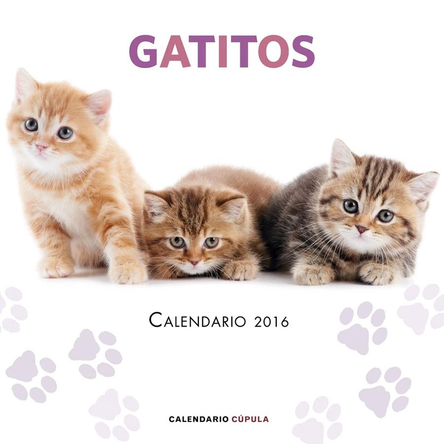 CALENDARIO GATITOS 2016 | 9788448021719 | Galatea Llibres | Llibreria online de Reus, Tarragona | Comprar llibres en català i castellà online