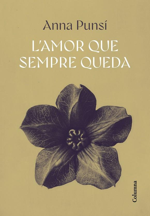 L'AMOR QUE SEMPRE QUEDA | 9788466432382 | PUNSÍ, ANNA | Galatea Llibres | Llibreria online de Reus, Tarragona | Comprar llibres en català i castellà online