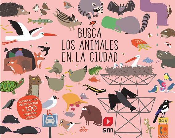 BUSCA LOS ANIMALES EN LA CIUDAD | 9788491829621 | Galatea Llibres | Librería online de Reus, Tarragona | Comprar libros en catalán y castellano online