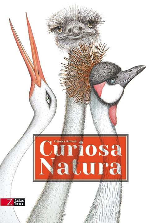 CURIOSA NATURA | 9788494713538 | GUIRAUD, FLORENCE | Galatea Llibres | Llibreria online de Reus, Tarragona | Comprar llibres en català i castellà online