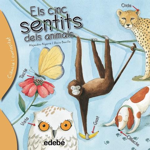 ELS CINC SENTITS DELS ANIMALS | 9788468329635 | ALGARRA PUJANTE, ALEJANDRO | Galatea Llibres | Librería online de Reus, Tarragona | Comprar libros en catalán y castellano online