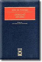 DERECHO MINERO | 9788447018598 | DE ARCENEGUI, ISIDRO | Galatea Llibres | Llibreria online de Reus, Tarragona | Comprar llibres en català i castellà online