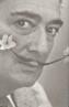 DALI O.C. VOL. III POESIA PROSA TEATRE I CINEMA | 9788497100670 | DALÍ, SALVADOR | Galatea Llibres | Llibreria online de Reus, Tarragona | Comprar llibres en català i castellà online