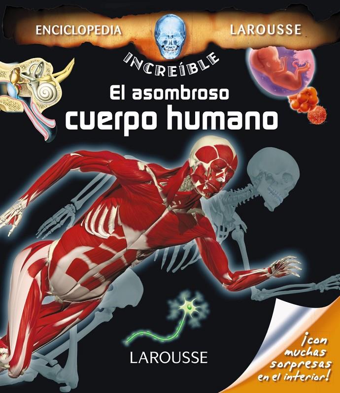 EL ASOMBROSO CUERPO HUMANO | 9788416368112 | Galatea Llibres | Llibreria online de Reus, Tarragona | Comprar llibres en català i castellà online