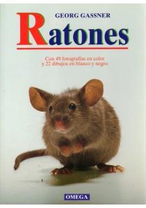 RATONES | 9788428210744 | GASSNER, GEORG | Galatea Llibres | Llibreria online de Reus, Tarragona | Comprar llibres en català i castellà online