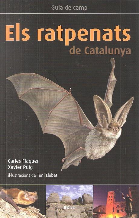 ELS RATPENATS DE CATALUNYA | 9788496905795 | FLAQUER, CARLES/ PUIG, XAVIER/ LLOBET, TONI | Galatea Llibres | Librería online de Reus, Tarragona | Comprar libros en catalán y castellano online